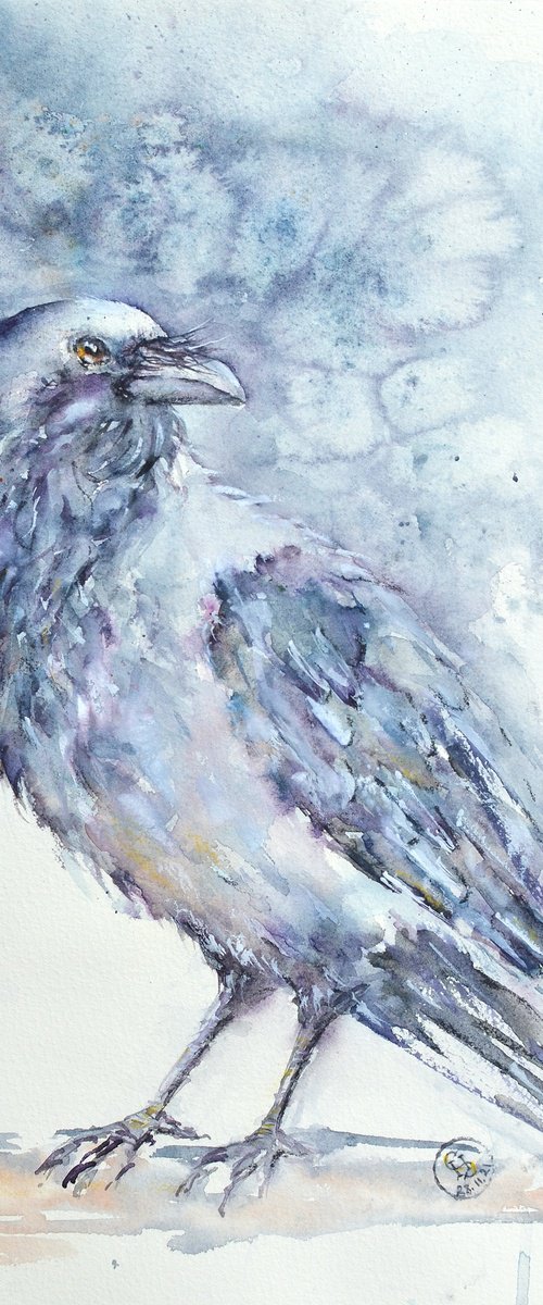 Crow by Sveta Hubmann