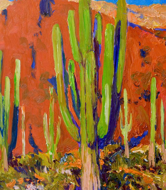 Saguaros and Desert Colors