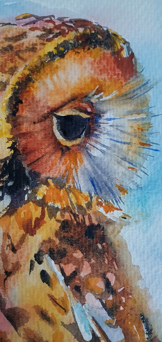 Autumn guardean ( watercolour Owl )