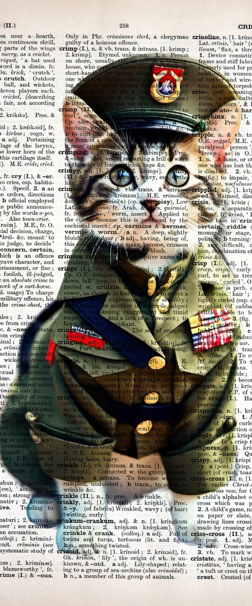 Military Dressed Kitty 2 by Misty Lady - M. Nierobisz