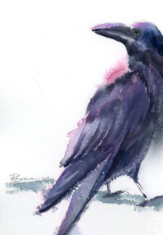 Raven (bird 1 from 4)