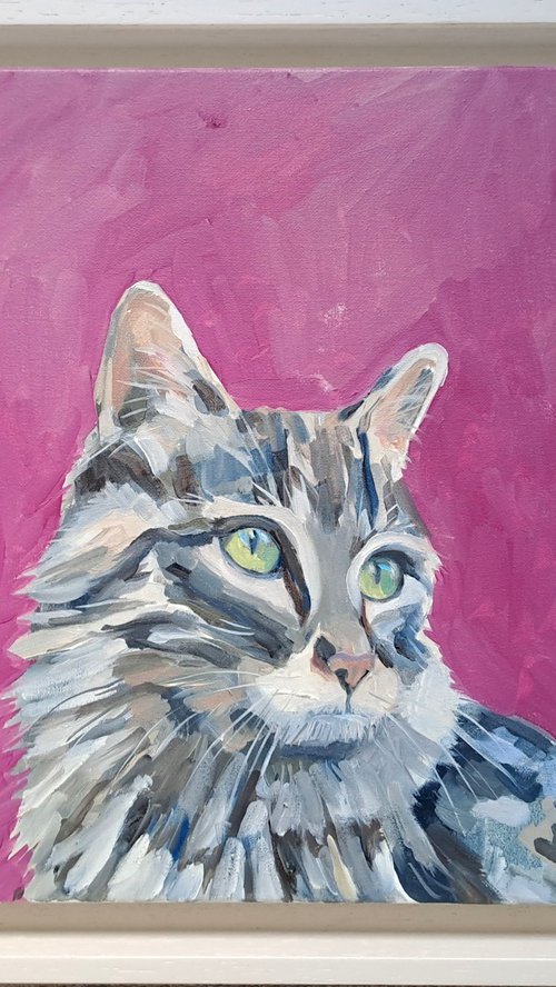 Sybil the Cat by Katharine Rowe