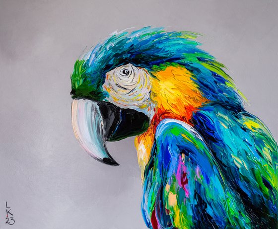 Macaw triptych