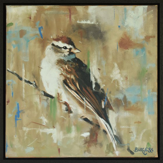 Morning Song - Bird Painting - Framed Oil On Canvas - 17" (h) x 17" (w)