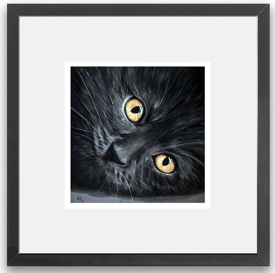 Cats Eyes III  (Original Painting)