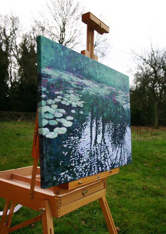 Lily Pond Reflections