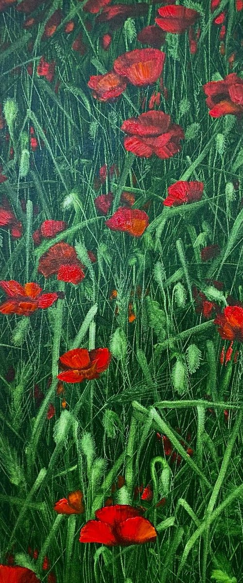 Polly Joke Poppys by Tanya Shymko