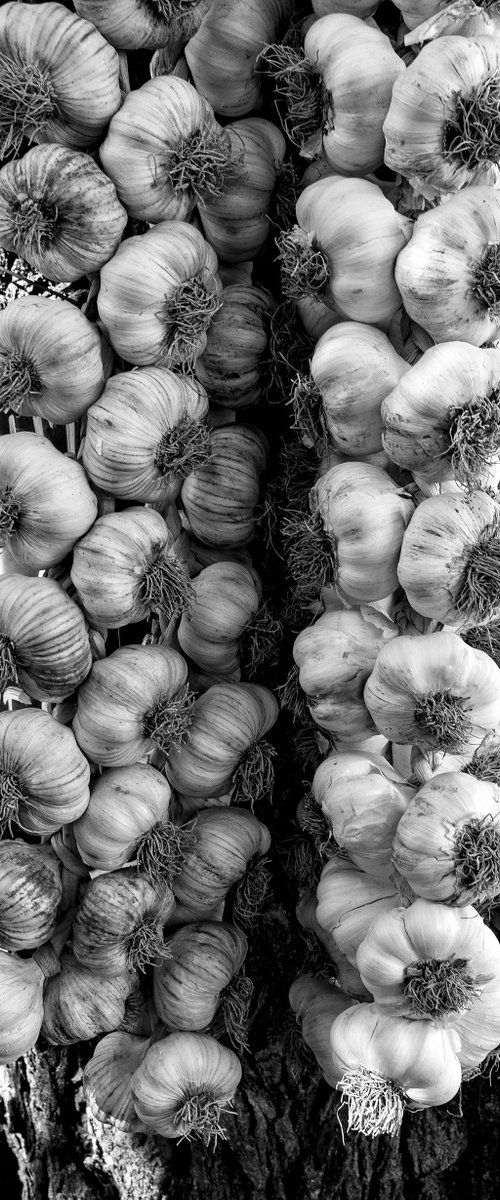 Garlic Ropes by Stephen Hodgetts Photography