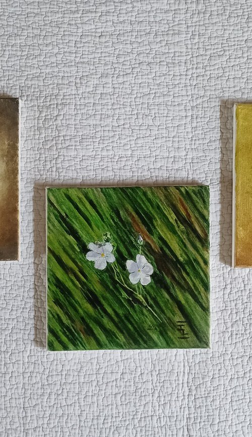 flowers by Isabelle Lucas