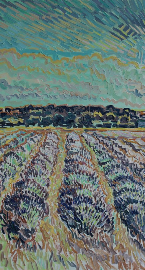 Lavender field Norfolk by Nigel Dickerson