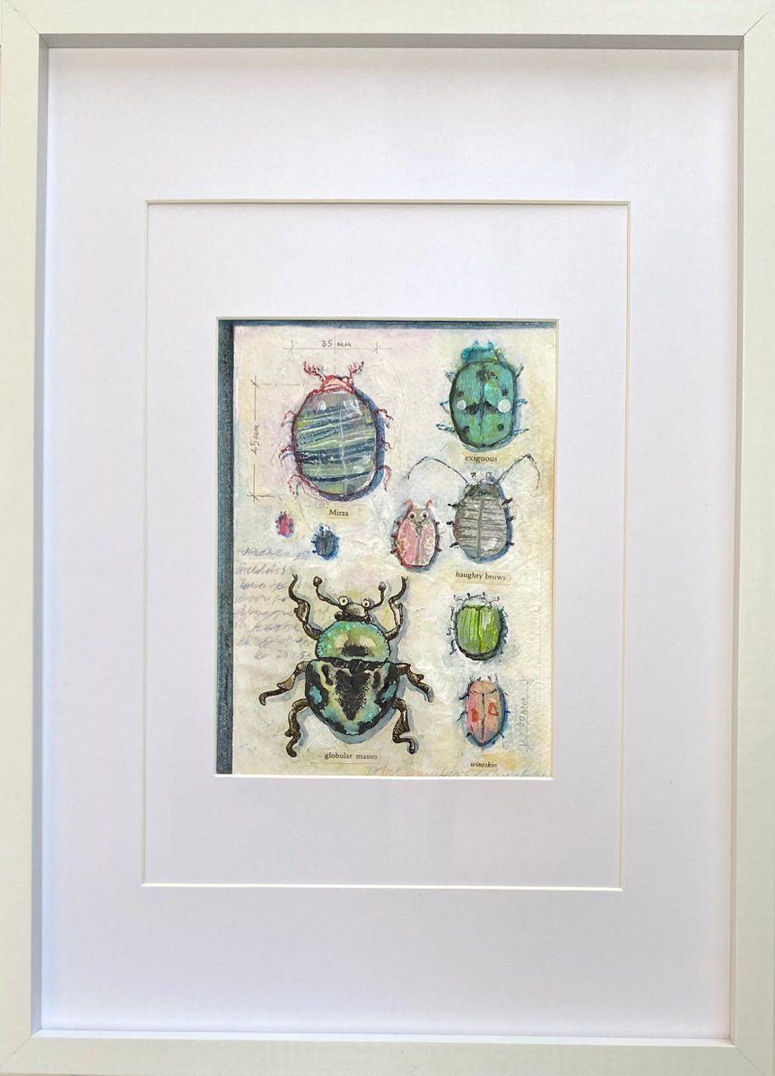 Bug Collection #04 - Framed mixed media abstract Beetle Painting by Luci Power
