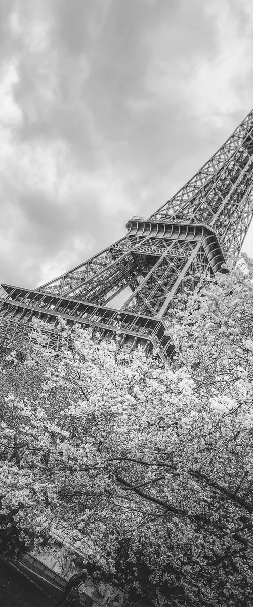 UNDER THE EIFFEL TOWER by Fabio Accorrà