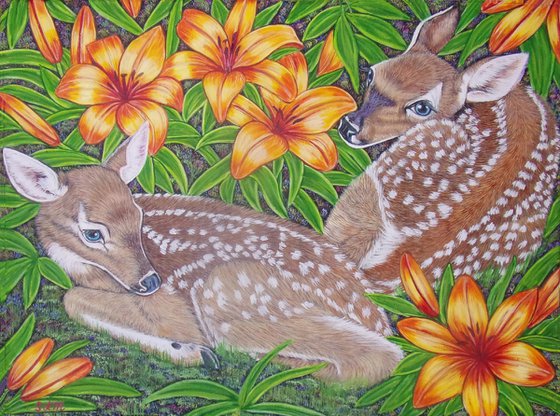 White-tailed deer fawns among Lilies