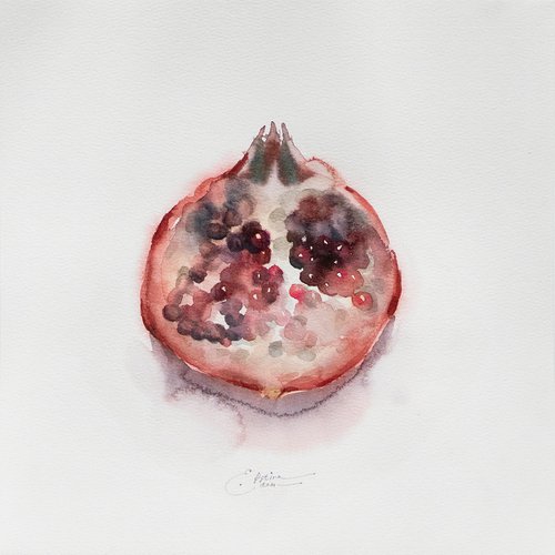 Pomegranate by Ekaterina Pytina