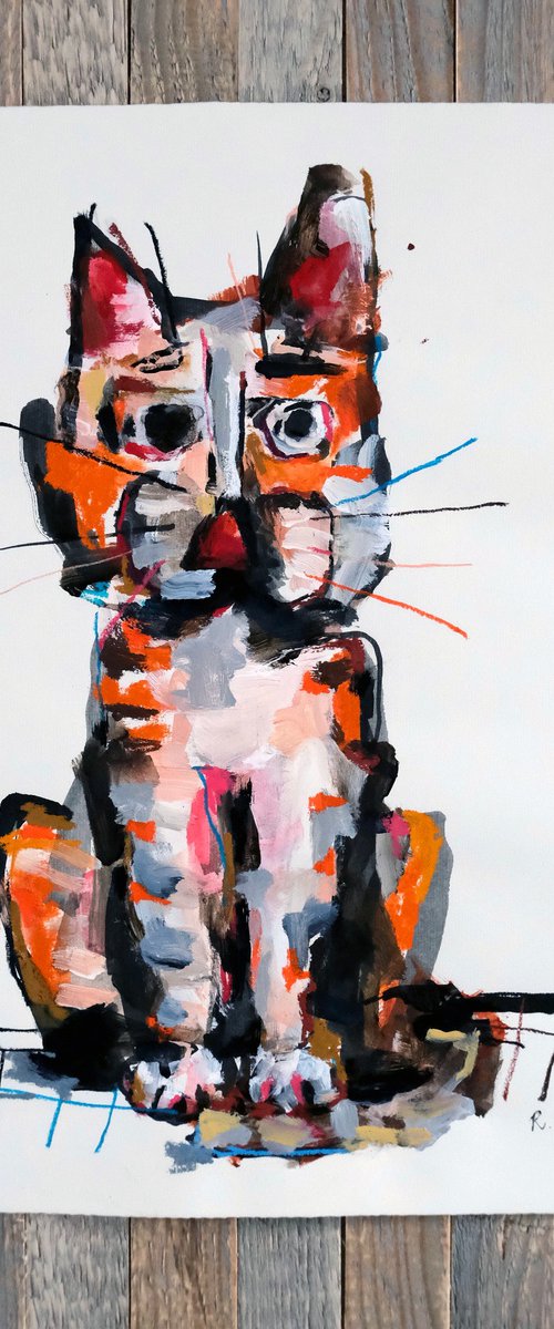 Cat by Reinder Oldenburger
