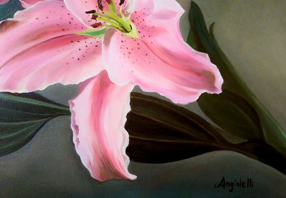 Lilies - still life