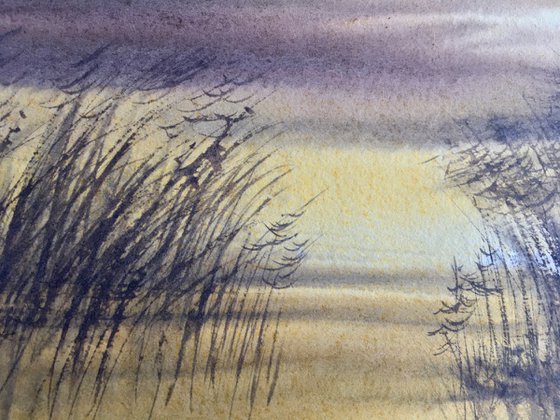 Reeds at dusk