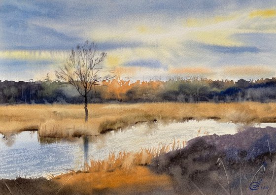 Autumn sun