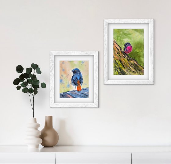 Birds: Redstart and Pink Robin