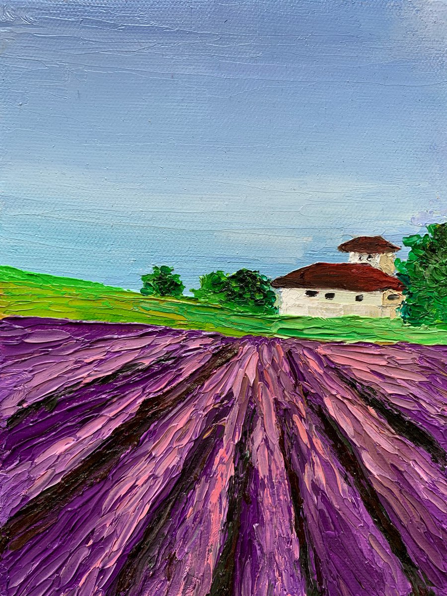 Tuscan lavender landscape - 3 ! Textured oil painting on ready to hang canvas by Amita Dand