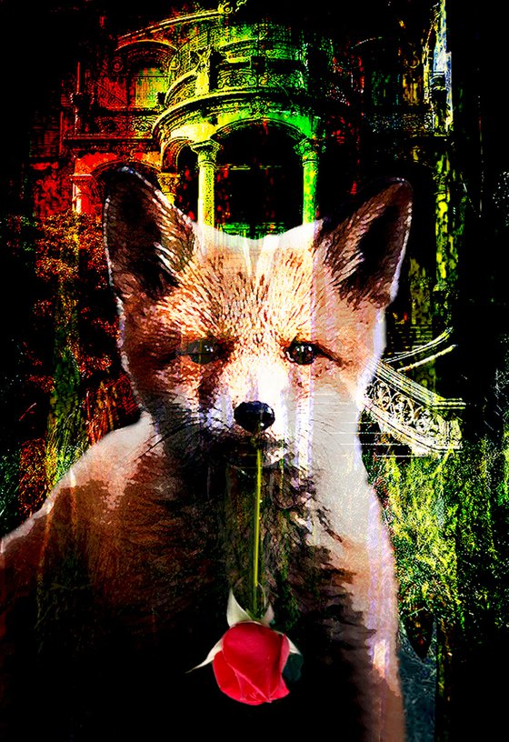 Fox with the Rose