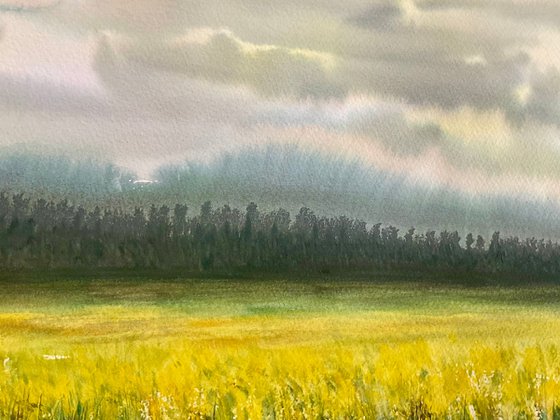 Across the yellow fields