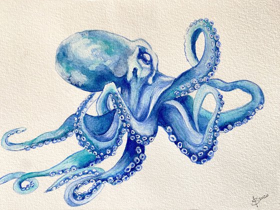 Blue Octopus