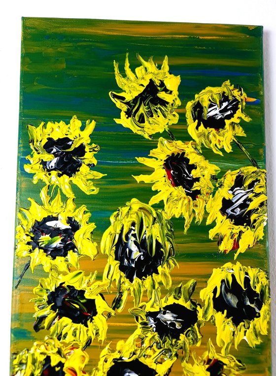 Blooming sunflowers 1