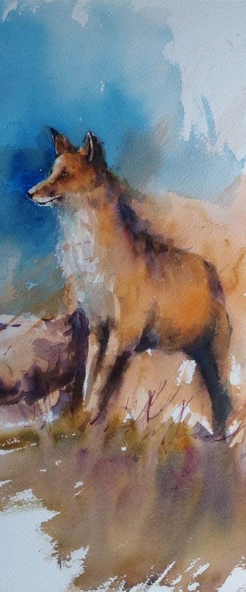 fox 10 by Giorgio Gosti