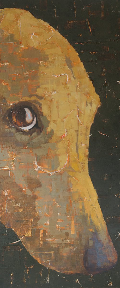 SHY DOG II by Tomasa  Martin