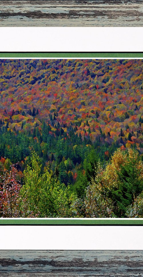 Kancamagus Highway One by Robin Clarke