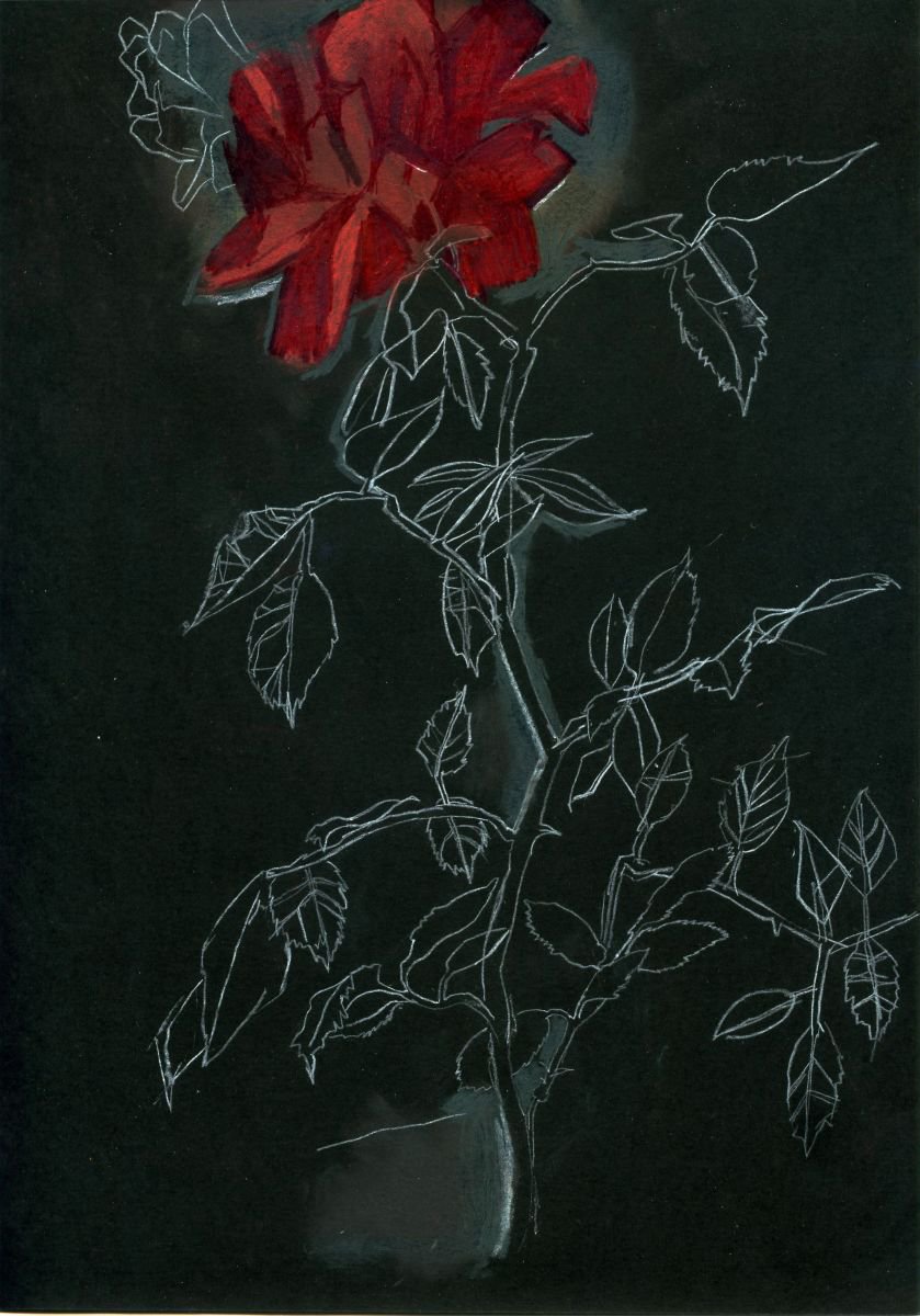 Rose by Sofia Moklyak