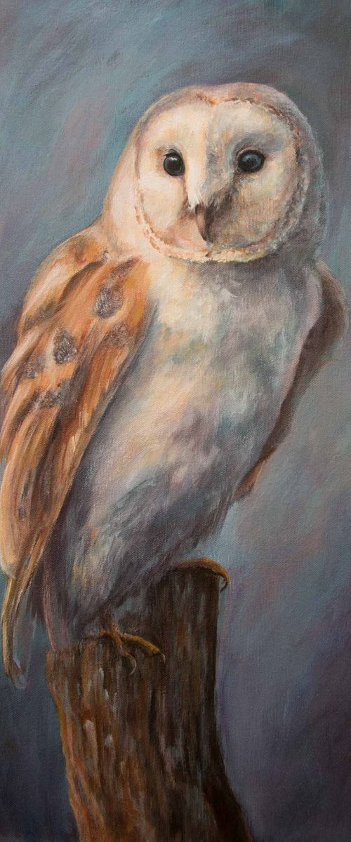 Luna by Ruth  Aslett