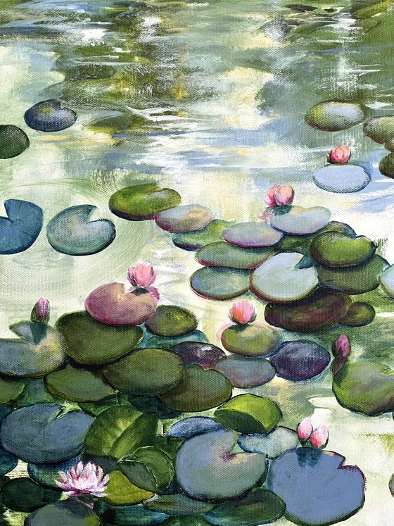 Always Waterlilies 8