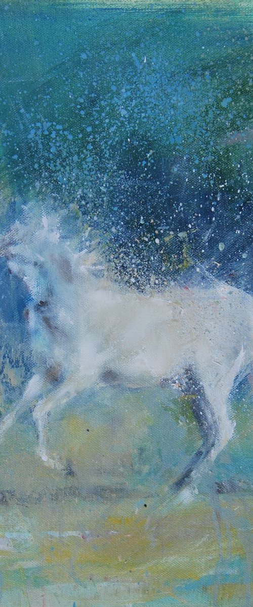 the dance by Trevor Salisbury