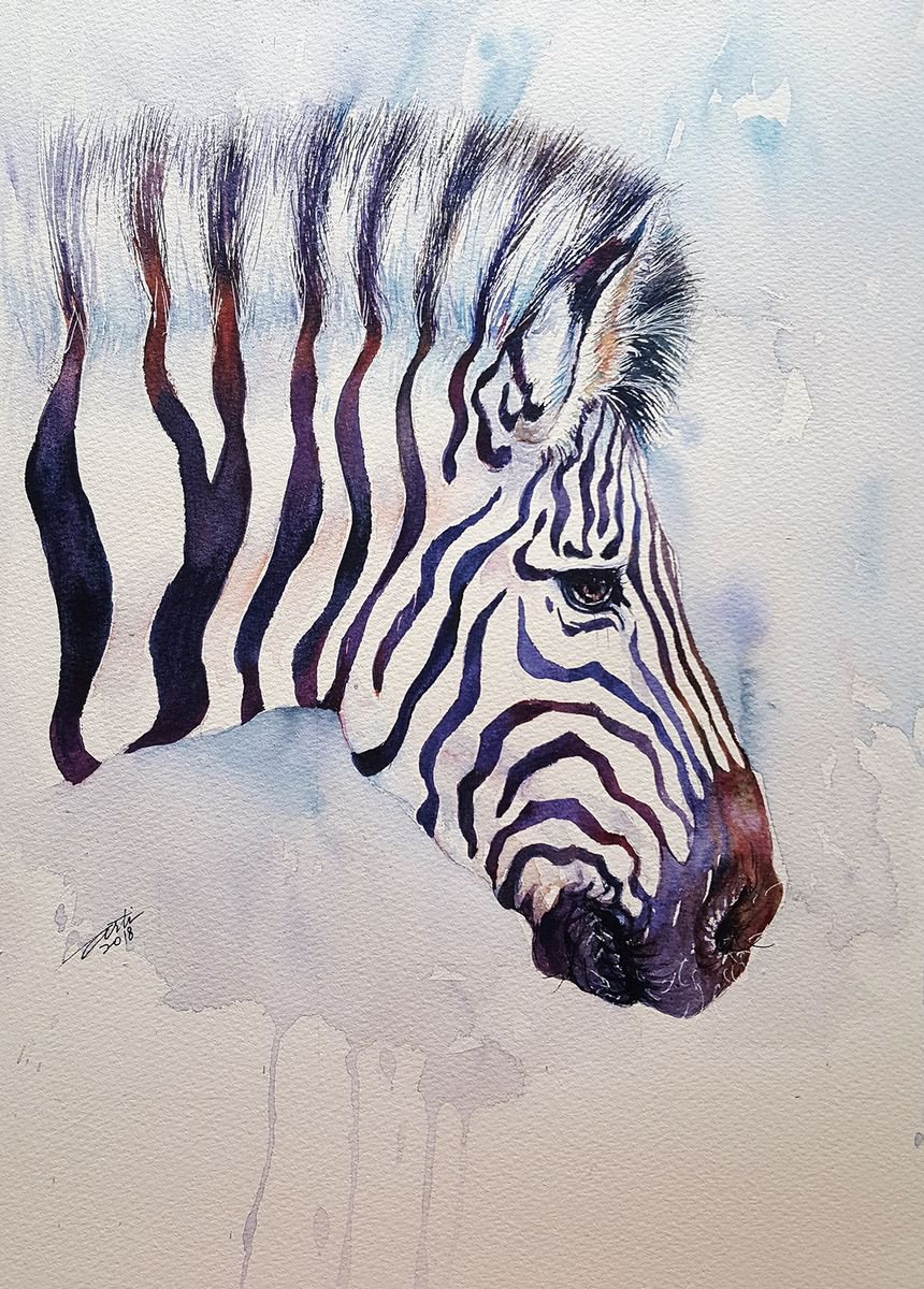 Zorrie_Zebra by Arti Chauhan