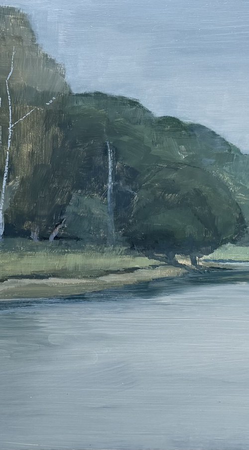 Richmond Park, Pen Ponds by Lizzie Butler