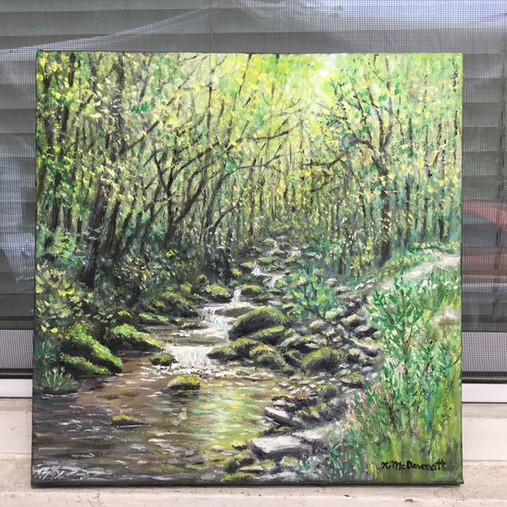 CREEK NEAR OLD FORT NC   (SOLD)