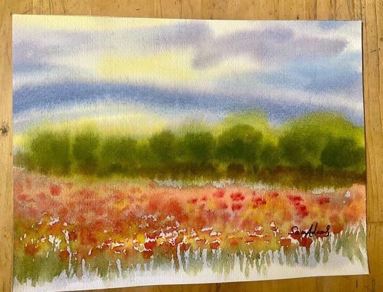 Misty poppy meadow