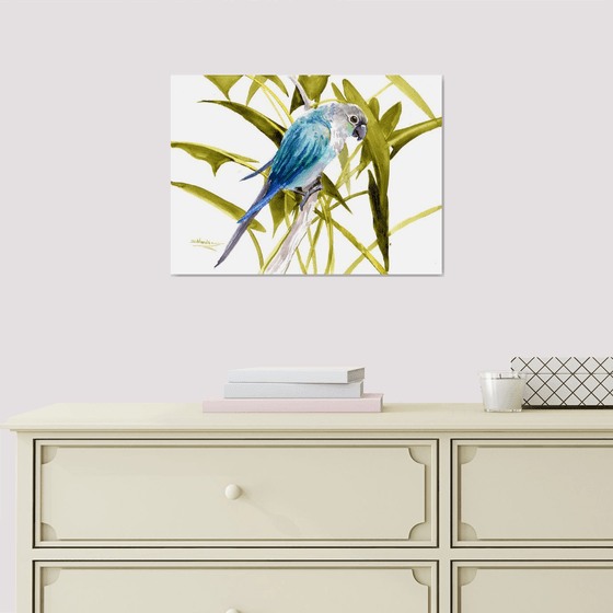 Turquoise Conure Parakeet, Parrot painting