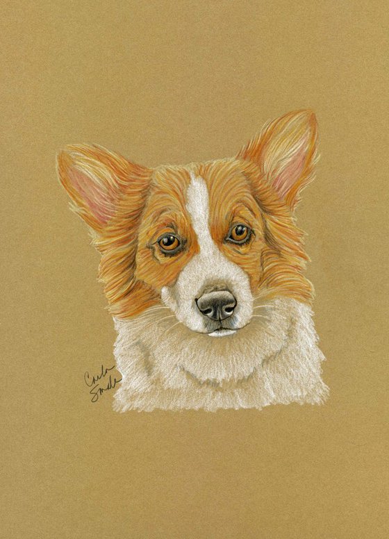 Pet Dog Welsh Corgi Art Original Drawing-Carla Smale