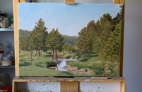 Pine Trees and a Mountain Stream