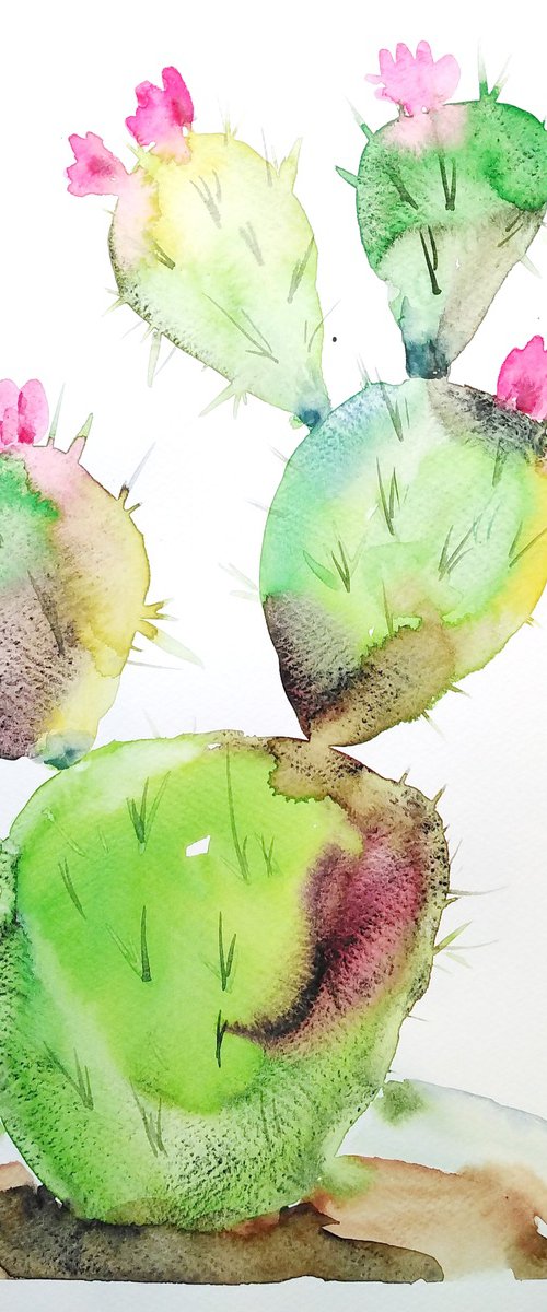 Cactus watercolor by Tanya Amos