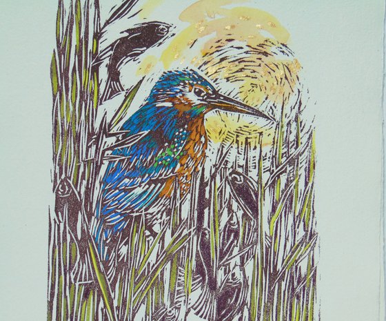 Kingfisher linocut, A3