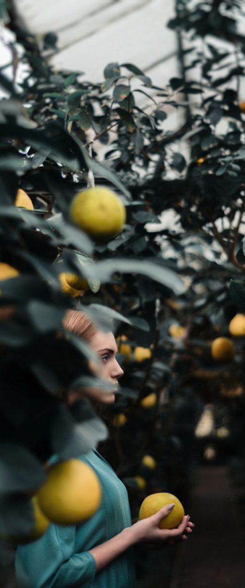 New Adam’s apple final- Limited Edition 1 of 10 by Inna Mosina