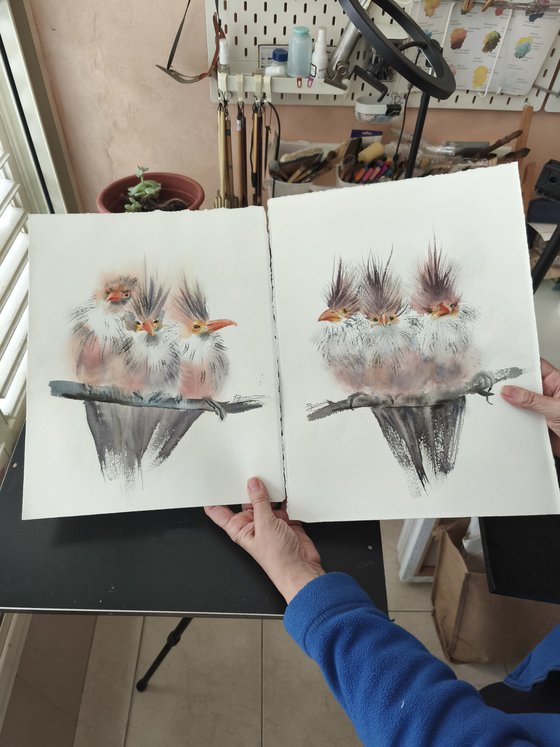 Trio Of Crested Birds - Diptych