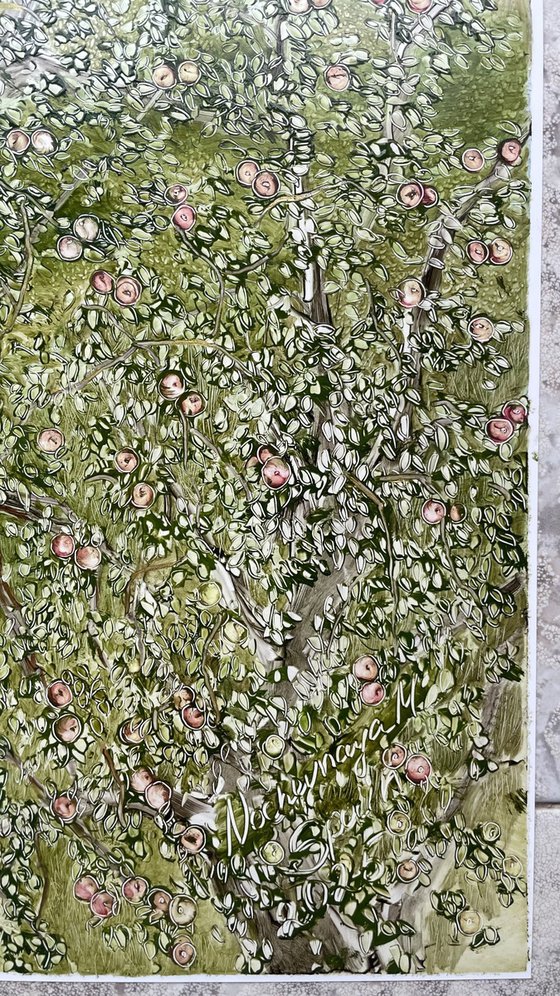 View from the window of an apple orchard.