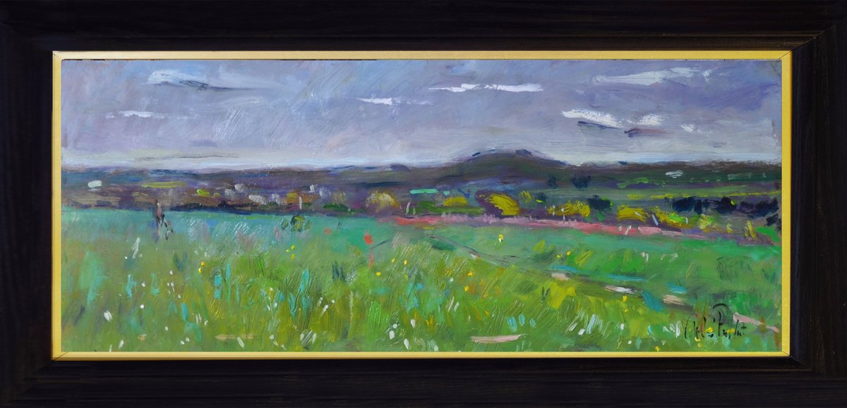 Field At Honeysuckle Lane. By Andre Pallat, 35 X 17, Artwork For Sale On Artfinder