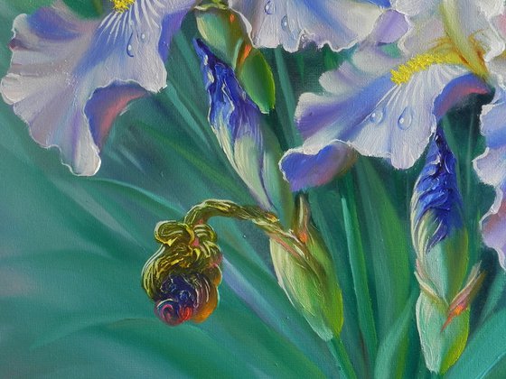 "Irises" Original painting Oil on canvas Home decor