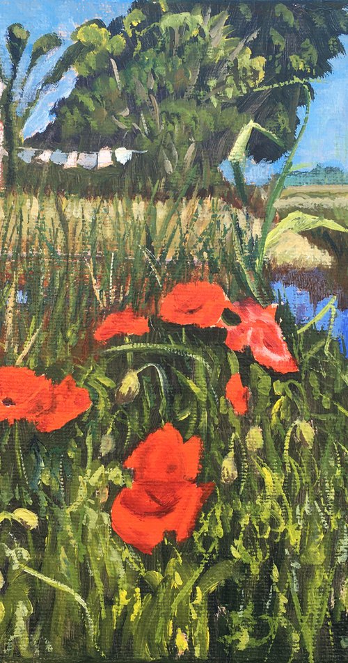 Landscape with poppies 3 by Elena Sokolova